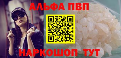ешки Кингисепп