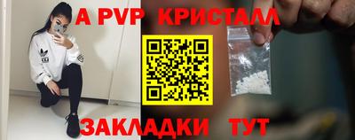 ешки Кингисепп