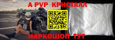 ешки Кингисепп